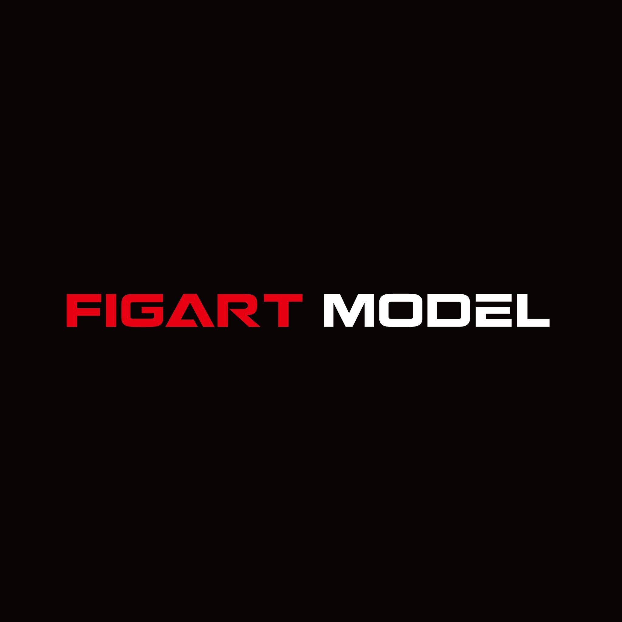 FIGART MODEL